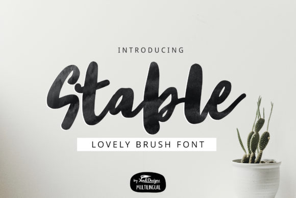 Stable: A Versatile Display Font for Modern Design Needs